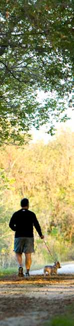 Person walking a dog on a wooded path.