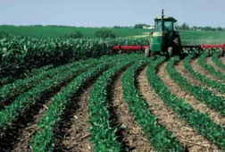 Tractor plowing a large, green agricultural field.