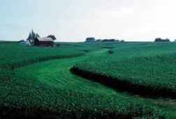 Scenic view of rolling green fields with a distant farmhouse.