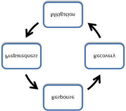 Cycle diagram with four steps: Analysis, Planning, Feedback, Execution.