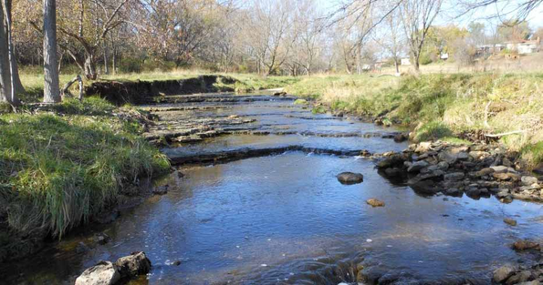 A calm stream flows through a grassy and wooded area.
