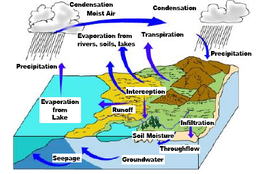 Diagram illustrating the water cycle with labels for each step.
