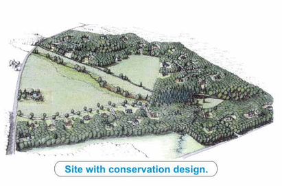 Illustration of a landscape with trees and buildings titled 'Site with conservation design'.