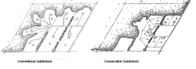 Diagram comparing conventional and conservation subdivisions.