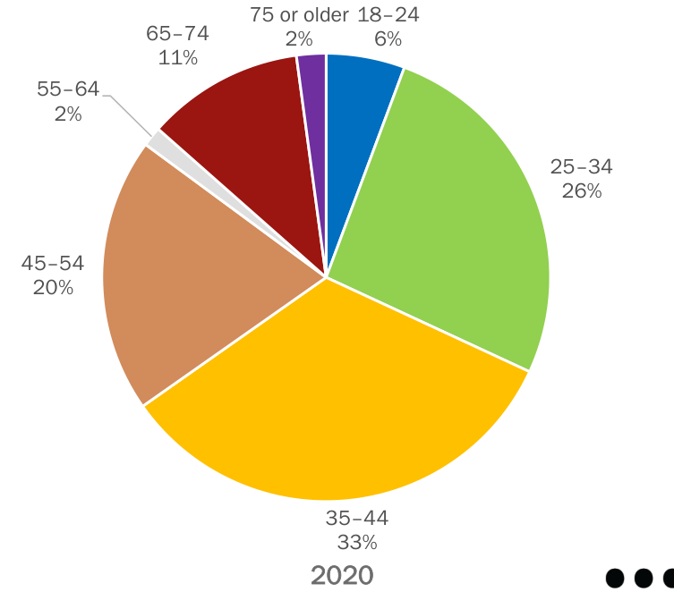 The pie chart illustrates the distribution of age demographics in 2020, divided into segments representing different age groups: 18-24 (6%), 25-34 (26%), 35-44 (33%), 45-54 (20%), 55-64 (2%), 65-74 (11%), and 75 or older (2%). Each age group is color-coded, allowing for easy visual comparison of their proportions in the overall dataset.