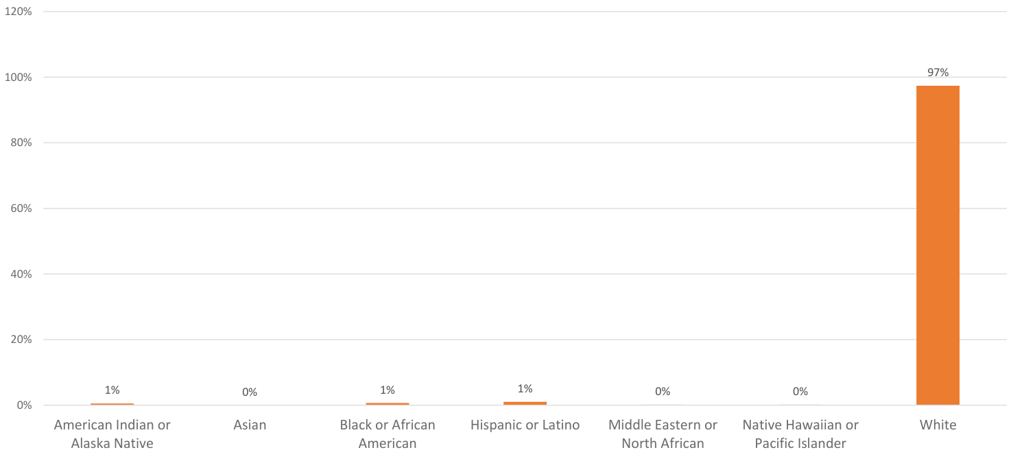The chart represents the racial demographics of a population, displaying the percentage of individuals identified as White at 97%, while American Indian or Alaska Native, Asian, Black or African American, Hispanic or Latino, Middle Eastern or North African, and Native Hawaiian or Pacific Islander each account for 1%. The visual arrangement clearly highlights the majority and minority groups in a horizontal bar format.