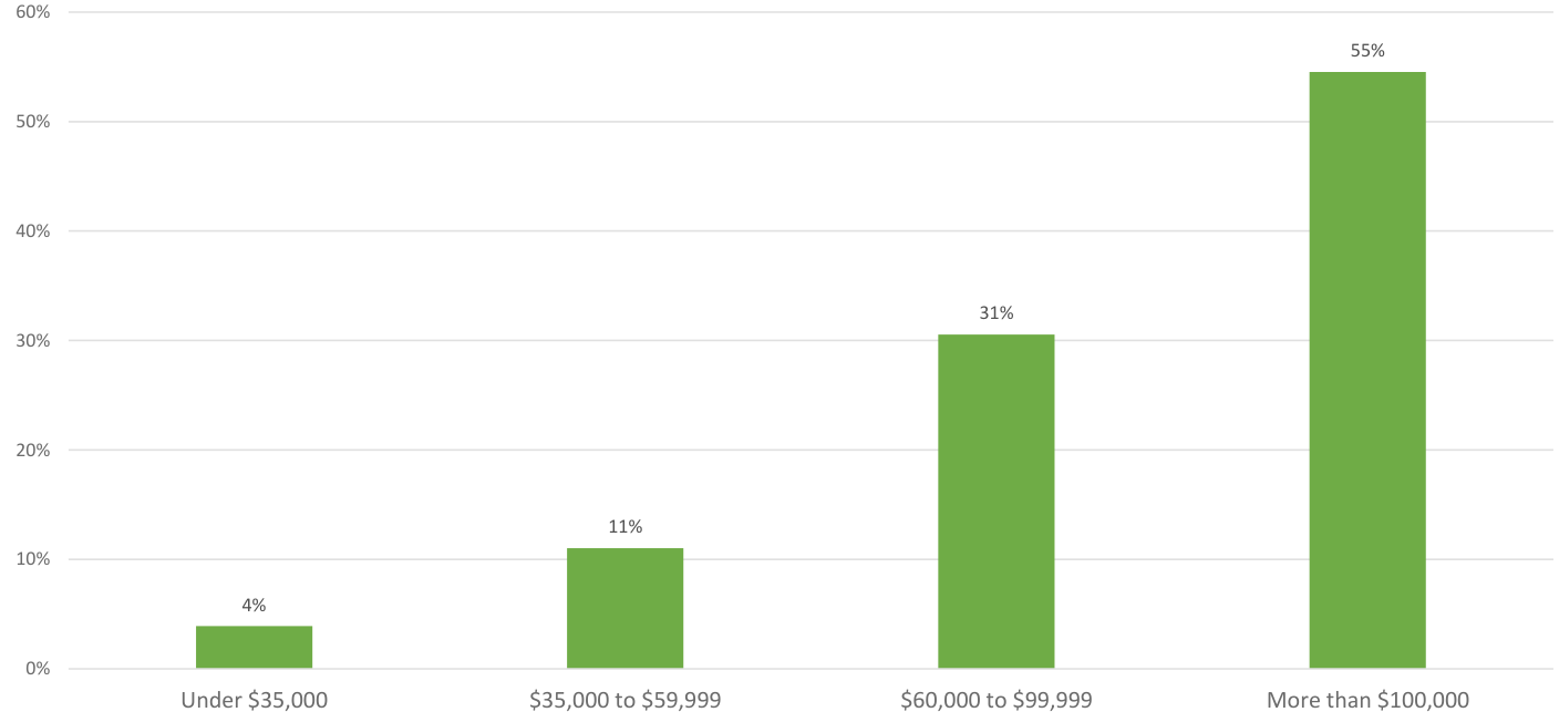 The bar chart illustrates the distribution of respondents across various income brackets. The bar for 'Under $35,000' shows 4%, '35,000 to $59,999' shows 11%, '60,000 to $99,999' shows 31%, and 'More than $100,000' shows 55%. Each bar represents the percentage of total respondents within each specified income range, visually demonstrating the difference in income distribution.