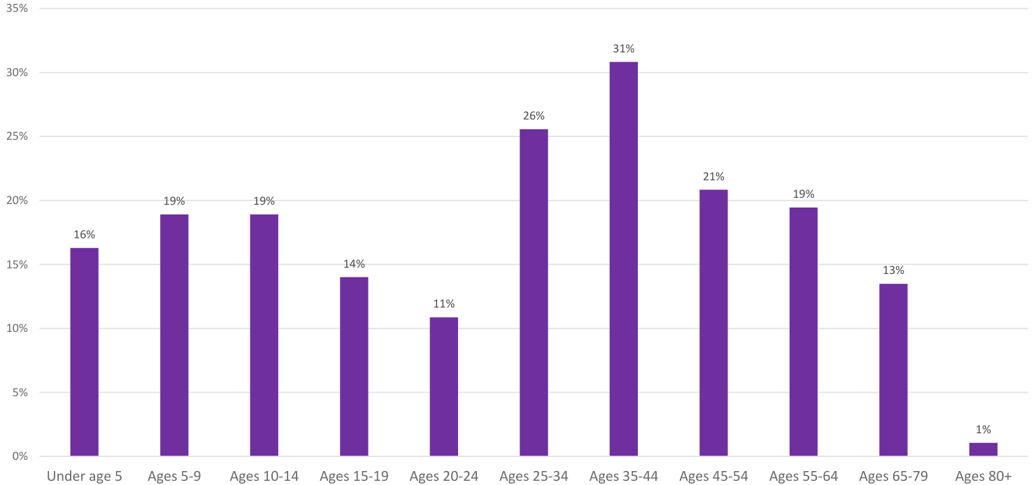 The bar chart illustrates the distribution of a population across various age groups. It displays percentages for each age group, indicating that the highest percentage is within the 35-44 age range at 31%, followed by 25-34 at 26%. The distribution decreases for older age categories, with the lowest percentage of 1% for those aged 80 years and older. Each bar is represented in purple with corresponding percentage labels above them.