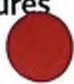 Red circle, likely indicating a point of interest or highlight.