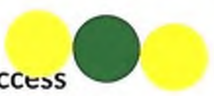 Logo featuring three circles in yellow and green, with the word 'access' below.