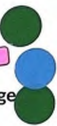 Diagram showing colored circles, including one blue circle situated between two green circles.