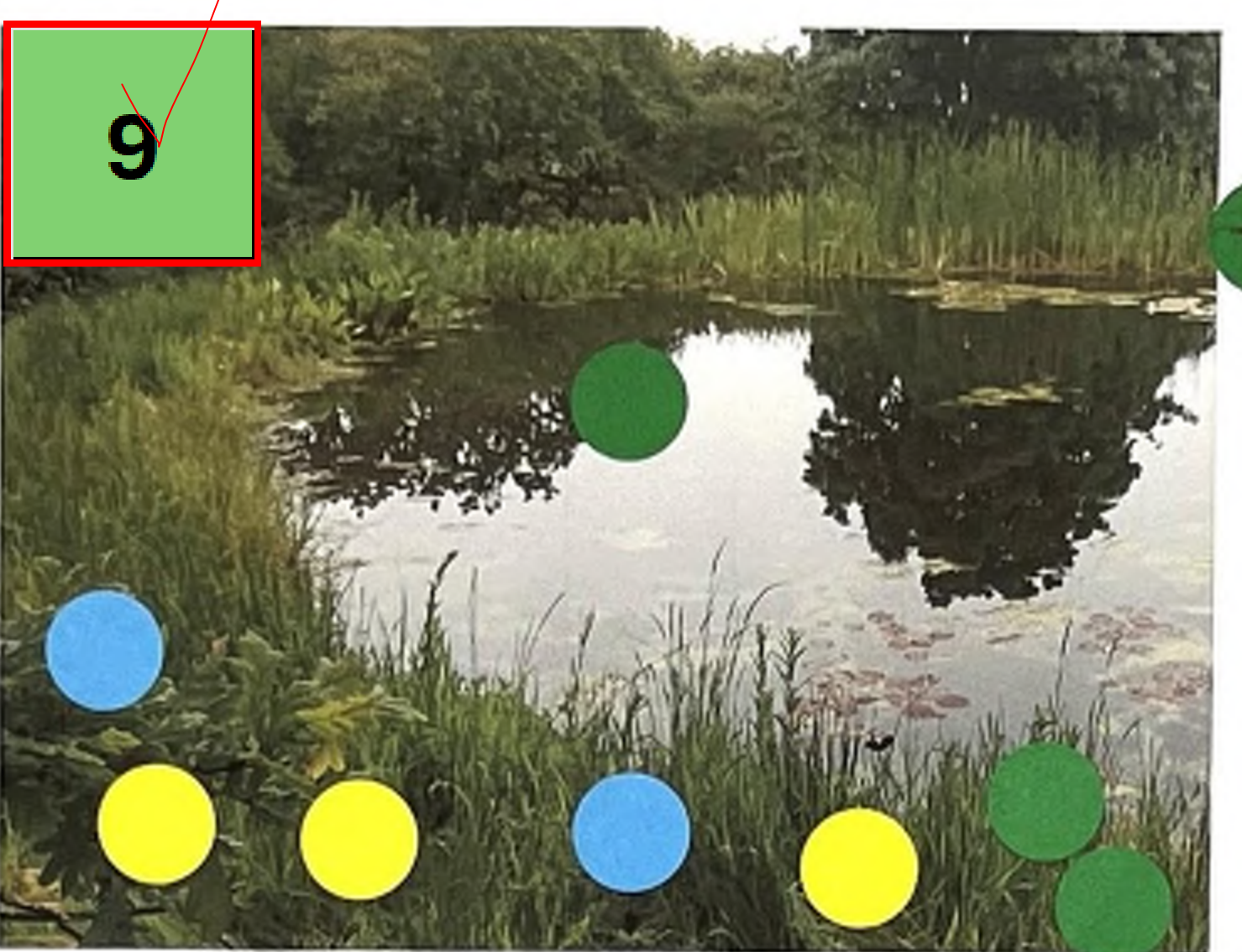 The image features a serene pond framed by lush green vegetation. There are colored circles in blue, green, and yellow positioned along the edge, likely indicating specific points of interest or features relevant to the pond area. The top left corner includes a green box with the number '9' prominently displayed, suggesting it may mark a significant location or label.