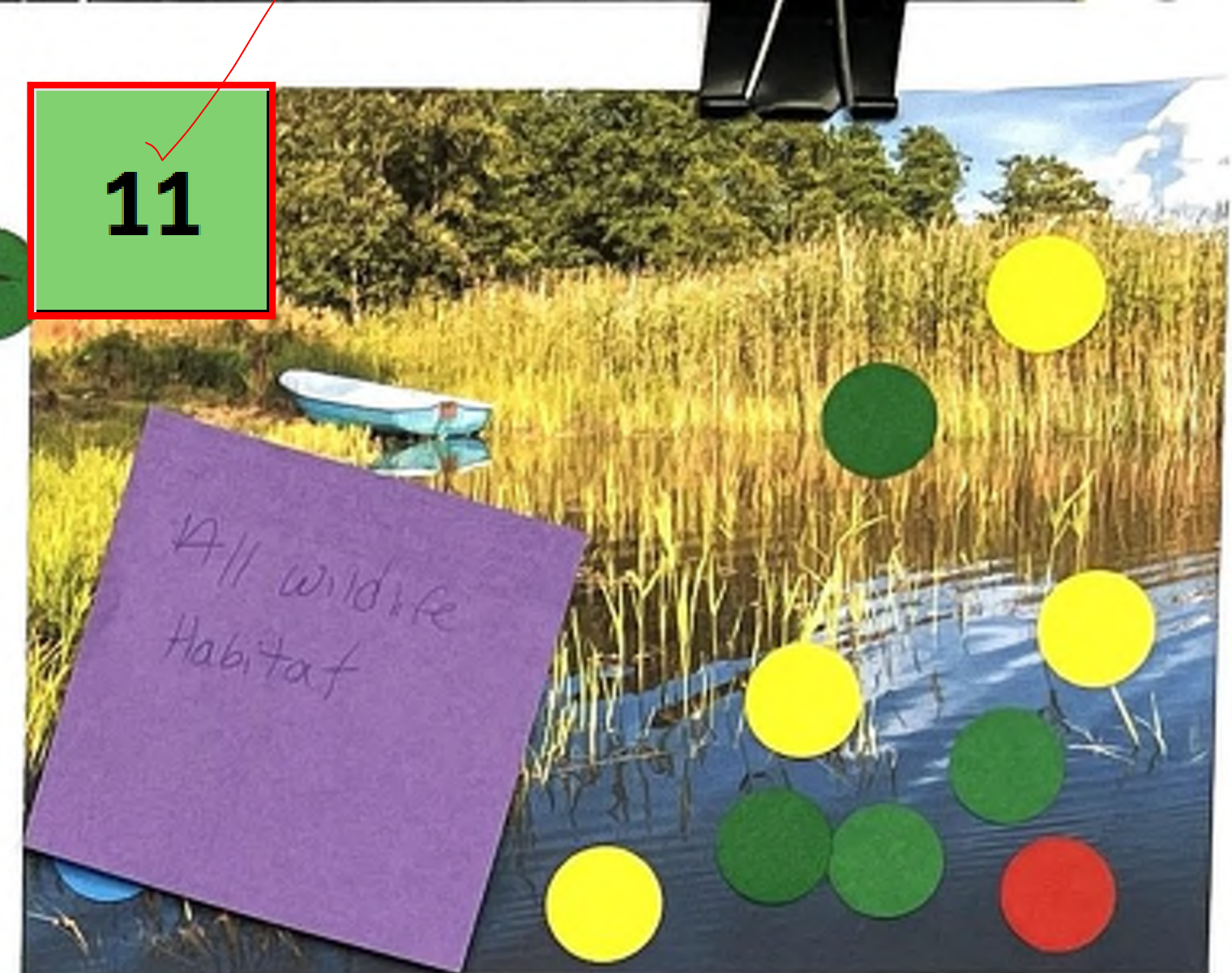 The image depicts a serene water body with tall grasses surrounding it. A light blue boat is visible on the water's surface. Various sticky notes of different colors are placed on the right side of the image. One sticky note is purple with handwritten text stating 'All wildlife Habitat,' and there are several round colored sticky notes in green, yellow, and red arranged on the photo. The number '11' is displayed prominently in a green box at the upper left.