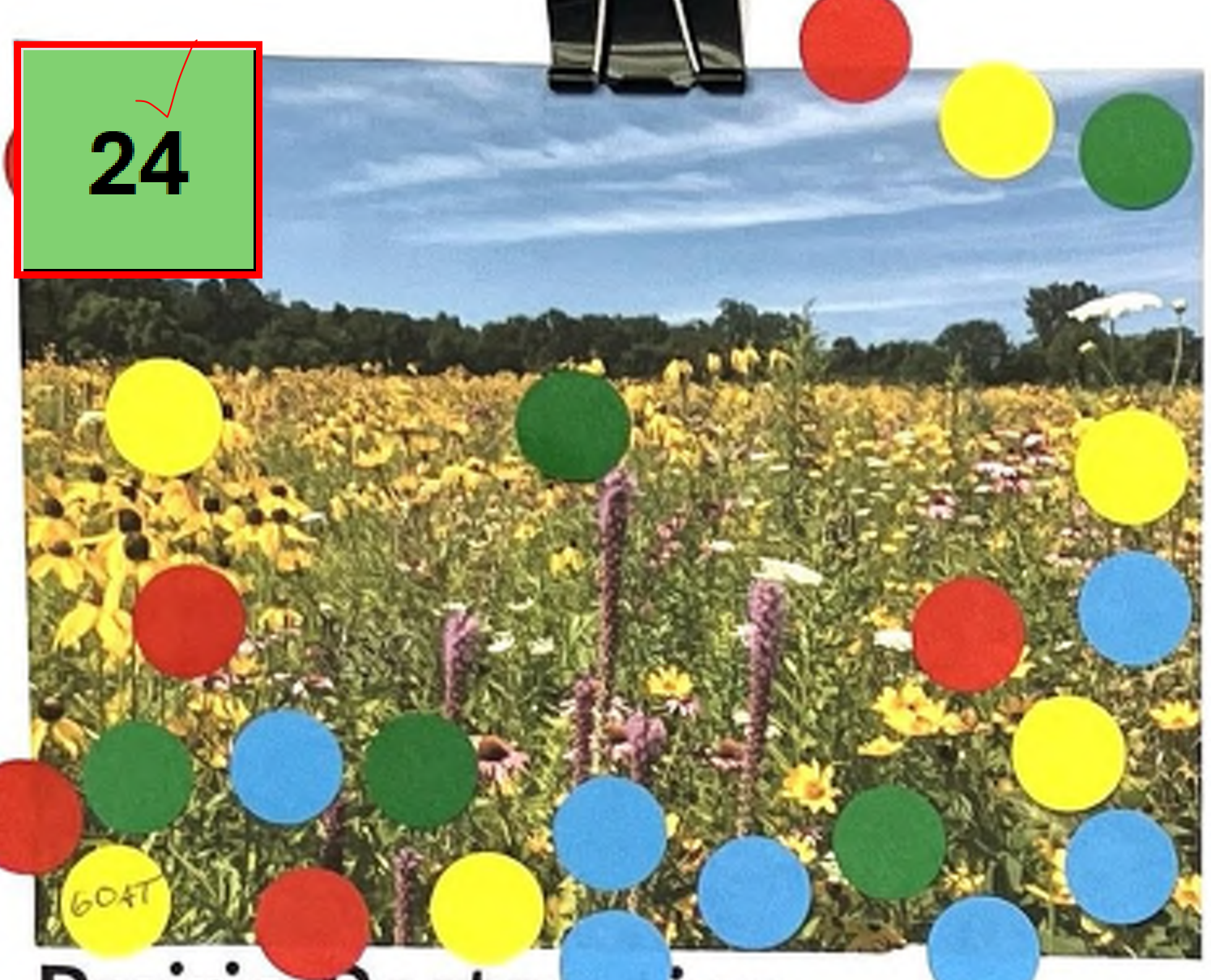 The image depicts a vibrant field of flowers under a blue sky. Various colored circles (red, yellow, green, and blue) are scattered across the image. At the top left, there is a green box displaying the number 24. The colorful circles may represent data points or highlights within the floral landscape.
