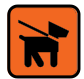 Icon of a dog on a leash against an orange background.