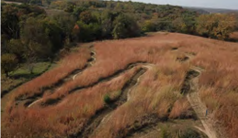 The image presents a scenic landscape featuring curving dirt paths that weave through a field of tall grass. The grass appears golden and textured, indicating it may be late in the growing season. In the background, there are trees that provide a natural border to the scene, suggesting an outdoor recreational area. This layout could indicate walking or biking trails, with the visual paths showing various routes available to visitors.