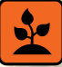 Icon of a sprouting plant on an orange background.