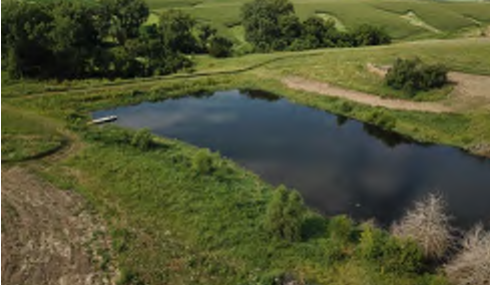 The image depicts a tranquil pond situated in a rural setting, with lush green grass and trees surrounding it. The pond is calm, reflecting the sky above, and there are patches of vegetation along its banks. The area appears to be part of a larger agricultural landscape, with fields visible in the background.