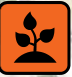 Icon featuring a sprouting plant on an orange background.