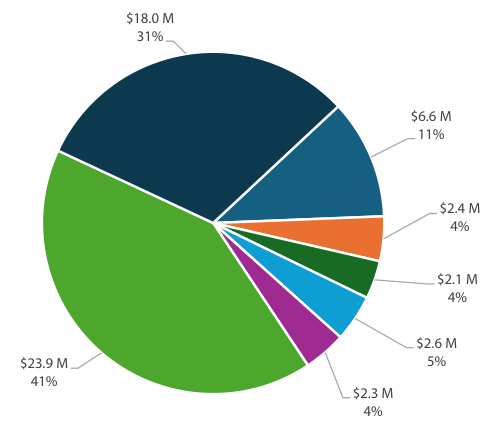 This pie chart illustrates the distribution of financial amounts across various categories. The largest segment represents $23.9 million (41%), followed by $18.0 million (31%), $6.6 million (11%), and smaller amounts represented in various colors: $2.4 million (4%), $2.1 million (4%), $2.6 million (5%), and $2.3 million (4%). Each segment is labeled with the amount and percentage to demonstrate relative sizes clearly.